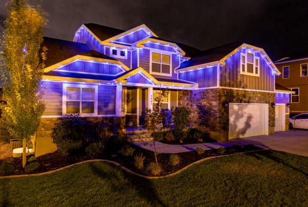 Back to School Lights on Home in Blue