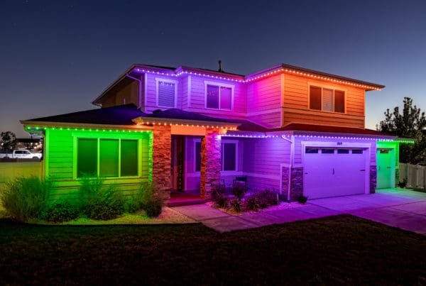 Halloween lights in green, purple and orange.